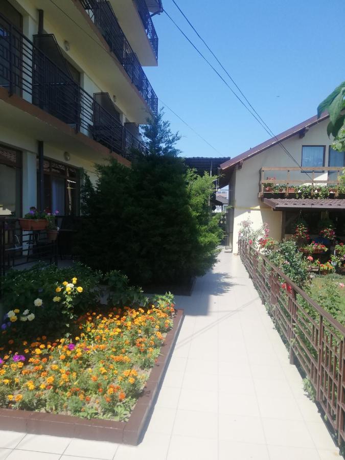 Villa Pescarus Costinești Εξωτερικό φωτογραφία